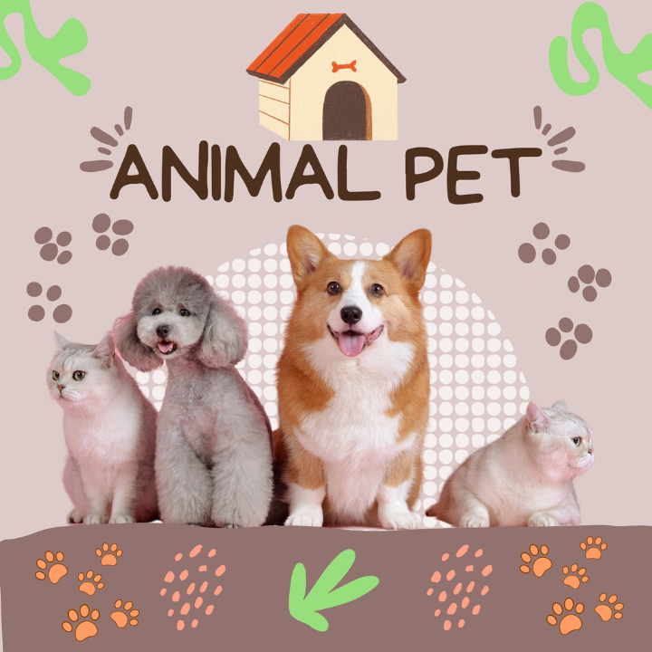 Animal & Pet
