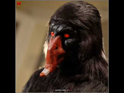 Attachment